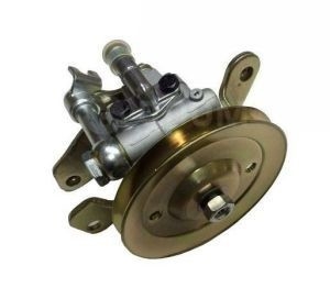 Pump di potenza di sterzo di progettazione per Nissan Terrano Pr50 Td27 Qd32 49110-0W800